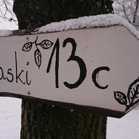 Chalet Czapliniec Laski (Zabkowice Slaskie)