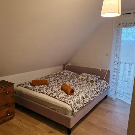 شاليه Czapliniec Laski (Zabkowice Slaskie)