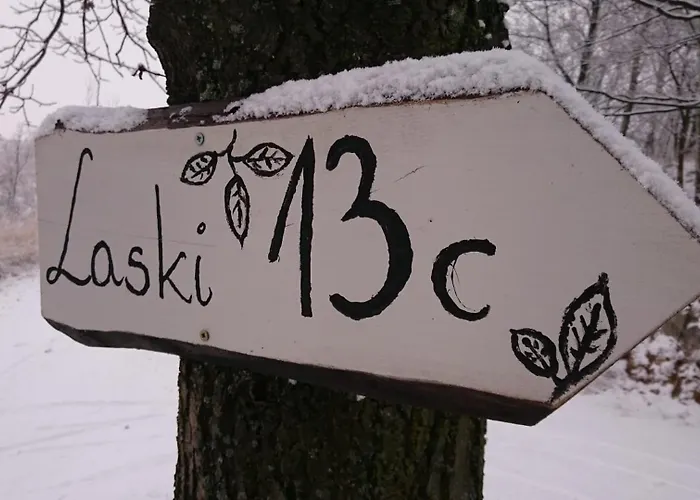 شاليه Czapliniec Laski (Zabkowice Slaskie)